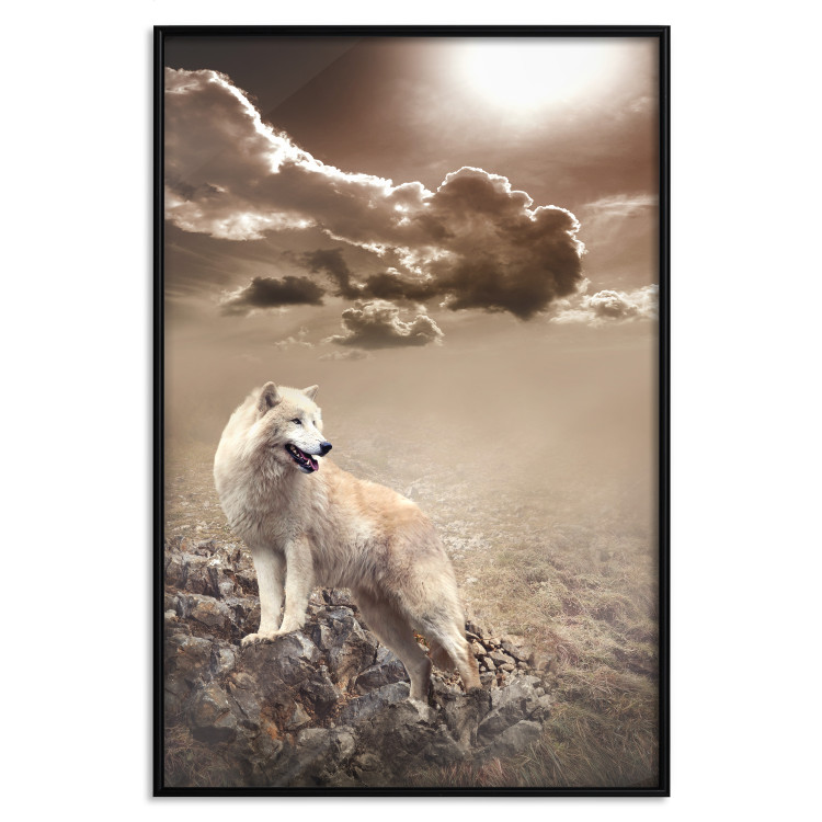 Poster Guardian of Clouds - wild wolf against a sky with clouds in sepia motif 126358 additionalImage 16