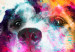 Poster Watercolor Dog - unique colorful abstraction with domestic animal 128858 additionalThumb 9