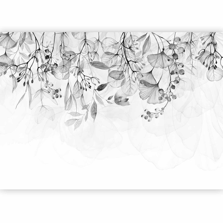 Wall Mural Foggy Nature - Grey 129558 additionalImage 1