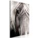 Canvas Print Free Spirit (1-piece) Vertical - black and white animal portrait 130258 additionalThumb 2