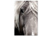 Canvas Print Free Spirit (1-piece) Vertical - black and white animal portrait 130258