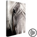 Canvas Print Free Spirit (1-piece) Vertical - black and white animal portrait 130258 additionalThumb 6