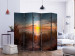 Room Divider Screen Sunset over the Atlantic Ocean II (5-piece) - seascape 132958 additionalThumb 2