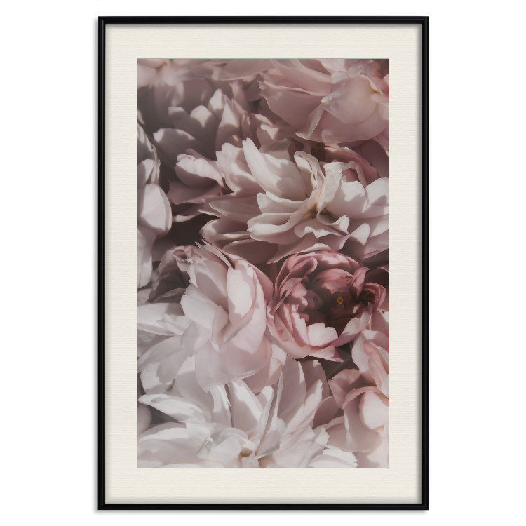 Poster Summer in the Garden - velvety composition of delicate red flowers 135758 additionalImage 25