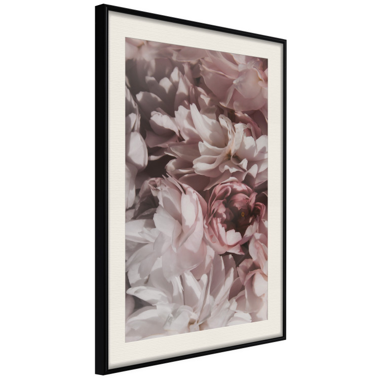 Poster Summer in the Garden - velvety composition of delicate red flowers 135758 additionalImage 16
