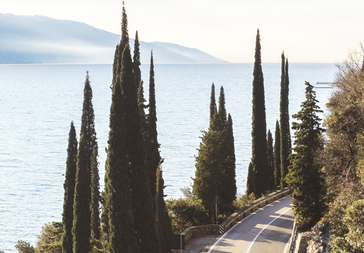 Canvas Print View of Lake Garda - summer landscape with winding, mountain road 135858 additionalImage 4