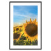 Poster Peace Flowers [Poster] 142458 additionalThumb 19