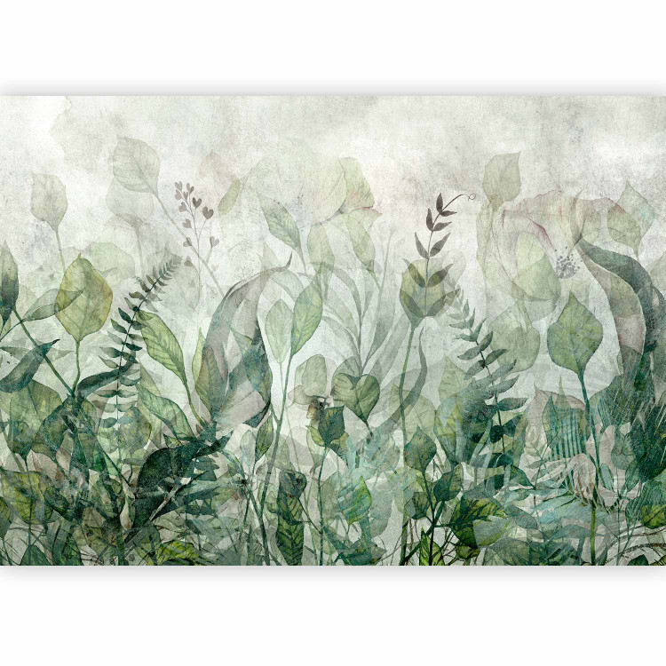Photo Wallpaper Watercolour meadow - green leaf motif on a grey background 143858 additionalImage 1