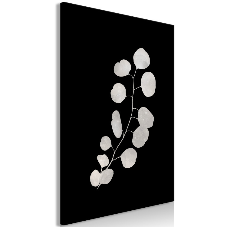 Canvas Print Eucalyptus Twig - Minimalist Plant on a Black Background 146158 additionalImage 2
