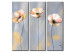 Canvas Print Pastel Poppies (3-piece) - Individual bright flowers on a gray background 48558