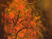 Canvas Autumn Walk 49858 additionalThumb 3