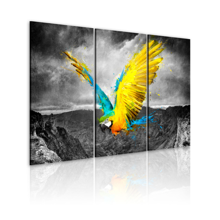 Canvas Print Bird-of-paradise 55658 additionalImage 2