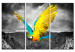 Canvas Print Bird-of-paradise 55658