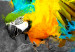 Canvas Print Bird-of-paradise 55658 additionalThumb 5