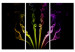 Canvas Print Multicolored streaks 56058