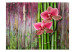 Photo Wallpaper Zen plants 61458 additionalThumb 1