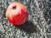 Canvas Apple pie 89958 additionalThumb 3