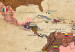Decorative Pinboard World Map: Retro Mood [Cork Map] 98058 additionalThumb 7
