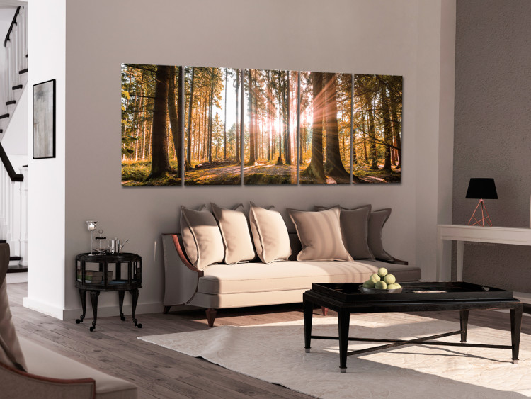 Canvas Beauty of Forest Nature (5-piece) - Sunny Landscape of Trees on Canvas 98558 additionalImage 3