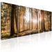 Canvas Beauty of Forest Nature (5-piece) - Sunny Landscape of Trees on Canvas 98558 additionalThumb 2