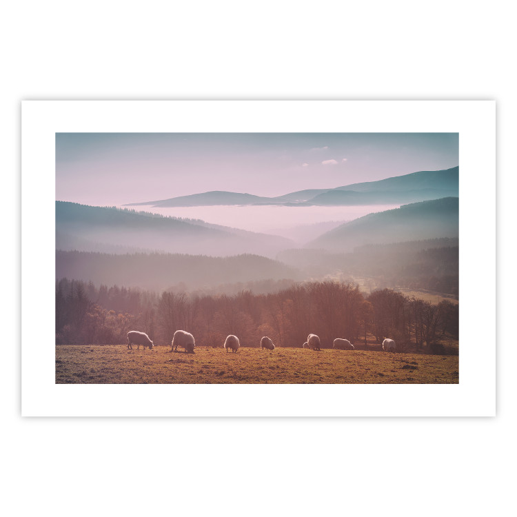 Poster Flock of Sheep - grazing animals against a picturesque mountain landscape 117468 additionalImage 16