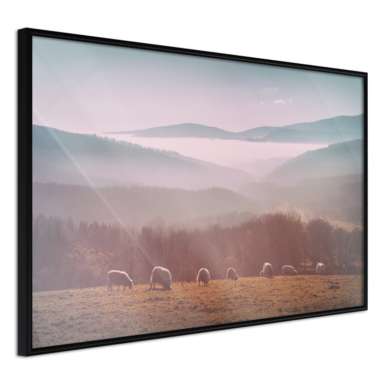 Poster Flock of Sheep - grazing animals against a picturesque mountain landscape 117468 additionalImage 10