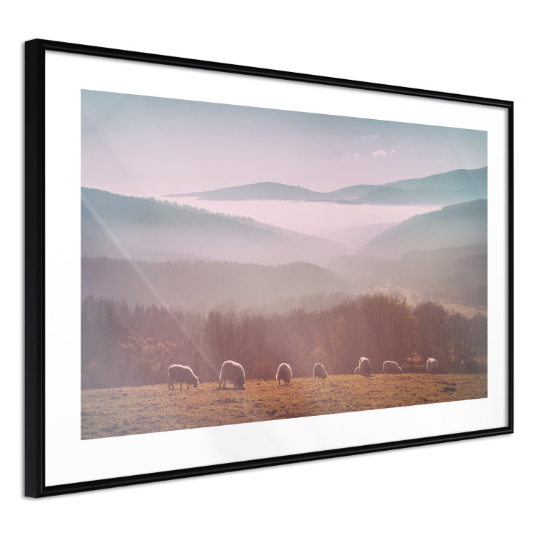 Poster Flock of Sheep - grazing animals against a picturesque mountain landscape 117468 additionalImage 11