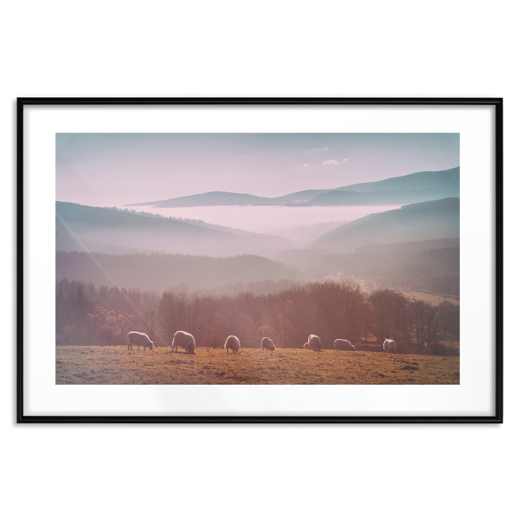 Poster Flock of Sheep - grazing animals against a picturesque mountain landscape 117468 additionalImage 17