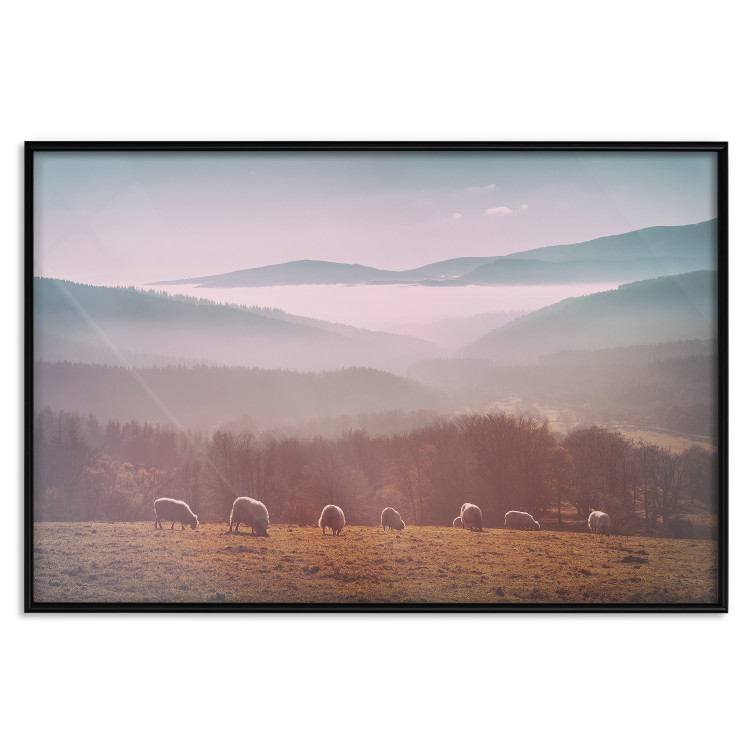 Poster Flock of Sheep - grazing animals against a picturesque mountain landscape 117468 additionalImage 15