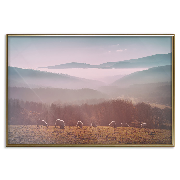 Poster Flock of Sheep - grazing animals against a picturesque mountain landscape 117468 additionalImage 14