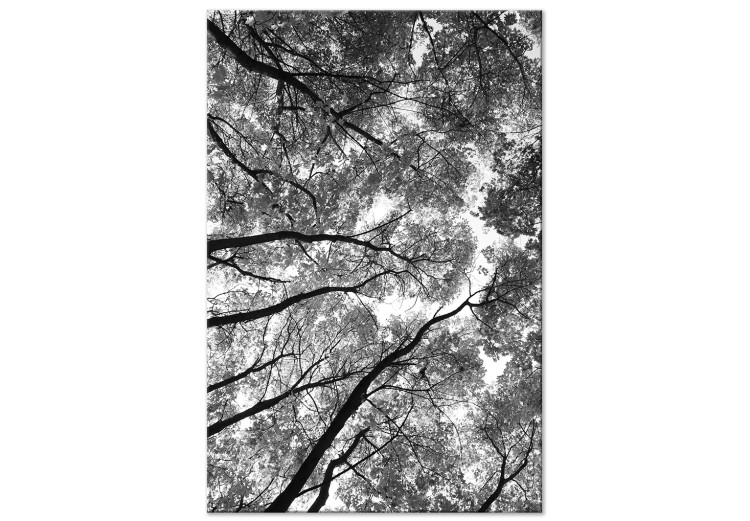 Canvas Tree crowns - black and white photography of the forest, trees and sky 123468