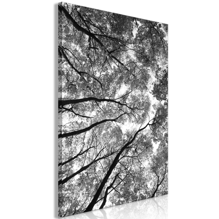Canvas Tree crowns - black and white photography of the forest, trees and sky 123468 additionalImage 2