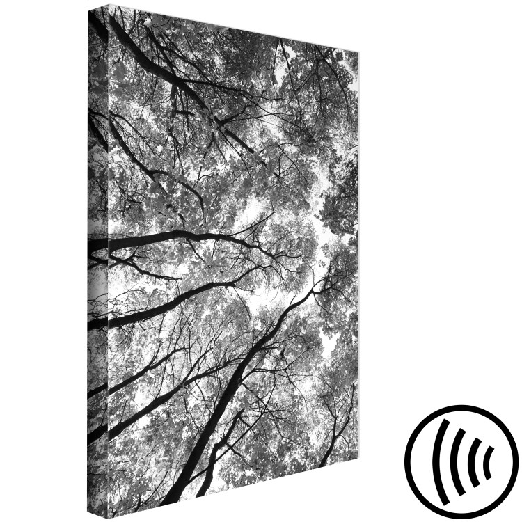 Canvas Tree crowns - black and white photography of the forest, trees and sky 123468 additionalImage 6