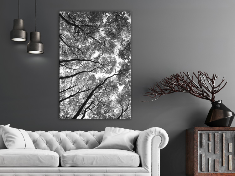 Canvas Tree crowns - black and white photography of the forest, trees and sky 123468 additionalImage 3
