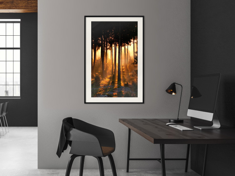 Poster Honeyed Forest - forest landscape with setting sunlight 124968 additionalImage 22