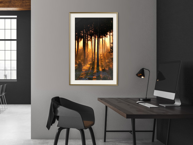 Poster Honeyed Forest - forest landscape with setting sunlight 124968 additionalImage 21