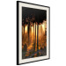 Poster Honeyed Forest - forest landscape with setting sunlight 124968 additionalThumb 3