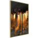 Poster Honeyed Forest - forest landscape with setting sunlight 124968 additionalThumb 14