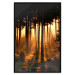 Poster Honeyed Forest - forest landscape with setting sunlight 124968 additionalThumb 18