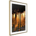 Poster Honeyed Forest - forest landscape with setting sunlight 124968 additionalThumb 6