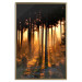 Poster Honeyed Forest - forest landscape with setting sunlight 124968 additionalThumb 16