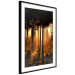 Poster Honeyed Forest - forest landscape with setting sunlight 124968 additionalThumb 13