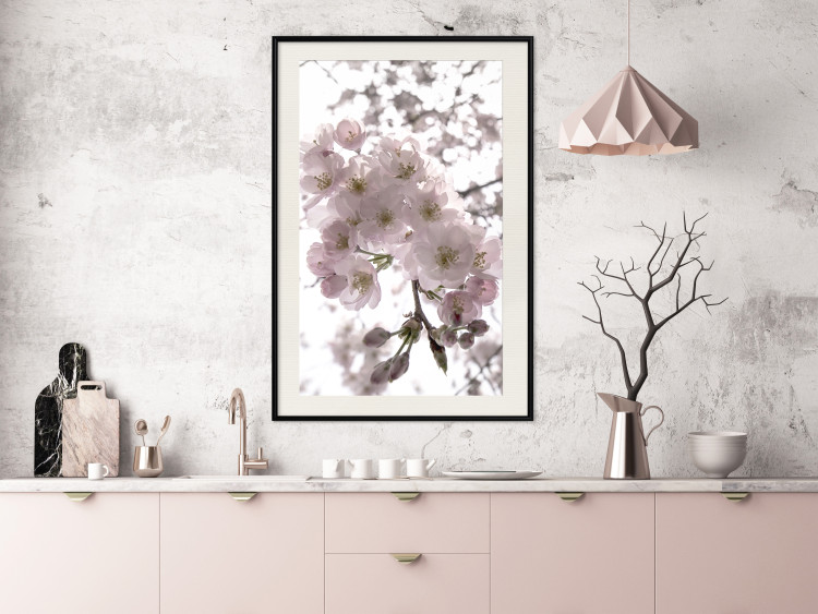 Poster Cherry Blossoms - tree with pink flowers on a contrasting white background 125868 additionalImage 22