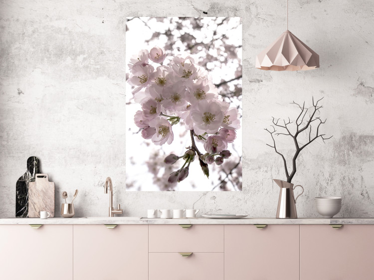 Poster Cherry Blossoms - tree with pink flowers on a contrasting white background 125868 additionalImage 17