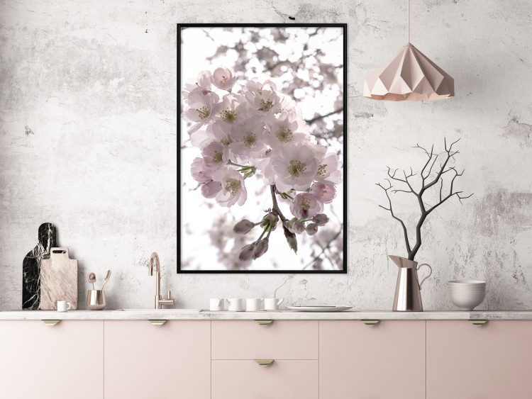Poster Cherry Blossoms - tree with pink flowers on a contrasting white background 125868 additionalImage 3