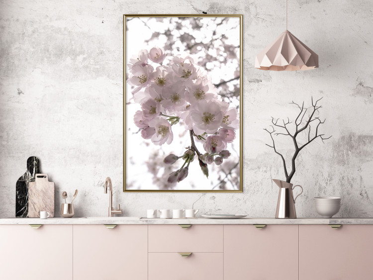 Poster Cherry Blossoms - tree with pink flowers on a contrasting white background 125868 additionalImage 7