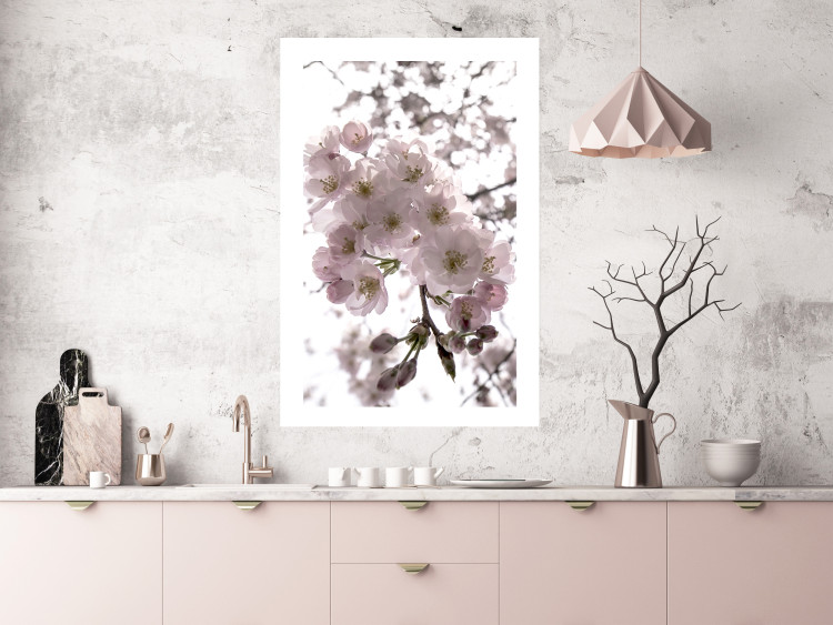 Poster Cherry Blossoms - tree with pink flowers on a contrasting white background 125868 additionalImage 4