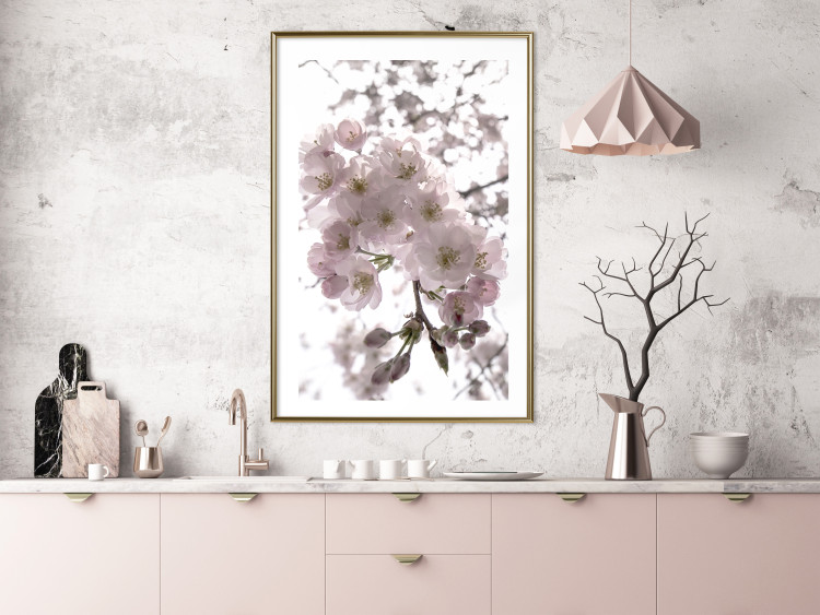 Poster Cherry Blossoms - tree with pink flowers on a contrasting white background 125868 additionalImage 15