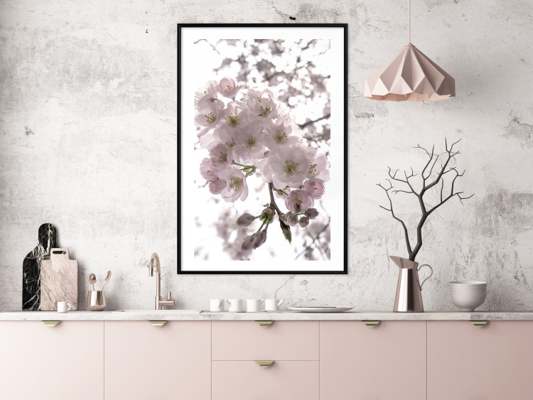 Poster Cherry Blossoms - tree with pink flowers on a contrasting white background 125868 additionalImage 6