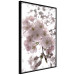 Poster Cherry Blossoms - tree with pink flowers on a contrasting white background 125868 additionalThumb 10